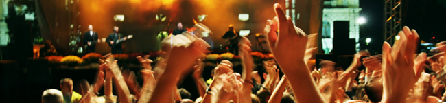Northern Virginia Concert Limousine