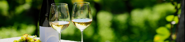 Virginia Wine Tour Limousine
